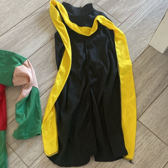 Robin costume - Picture 4 of 5